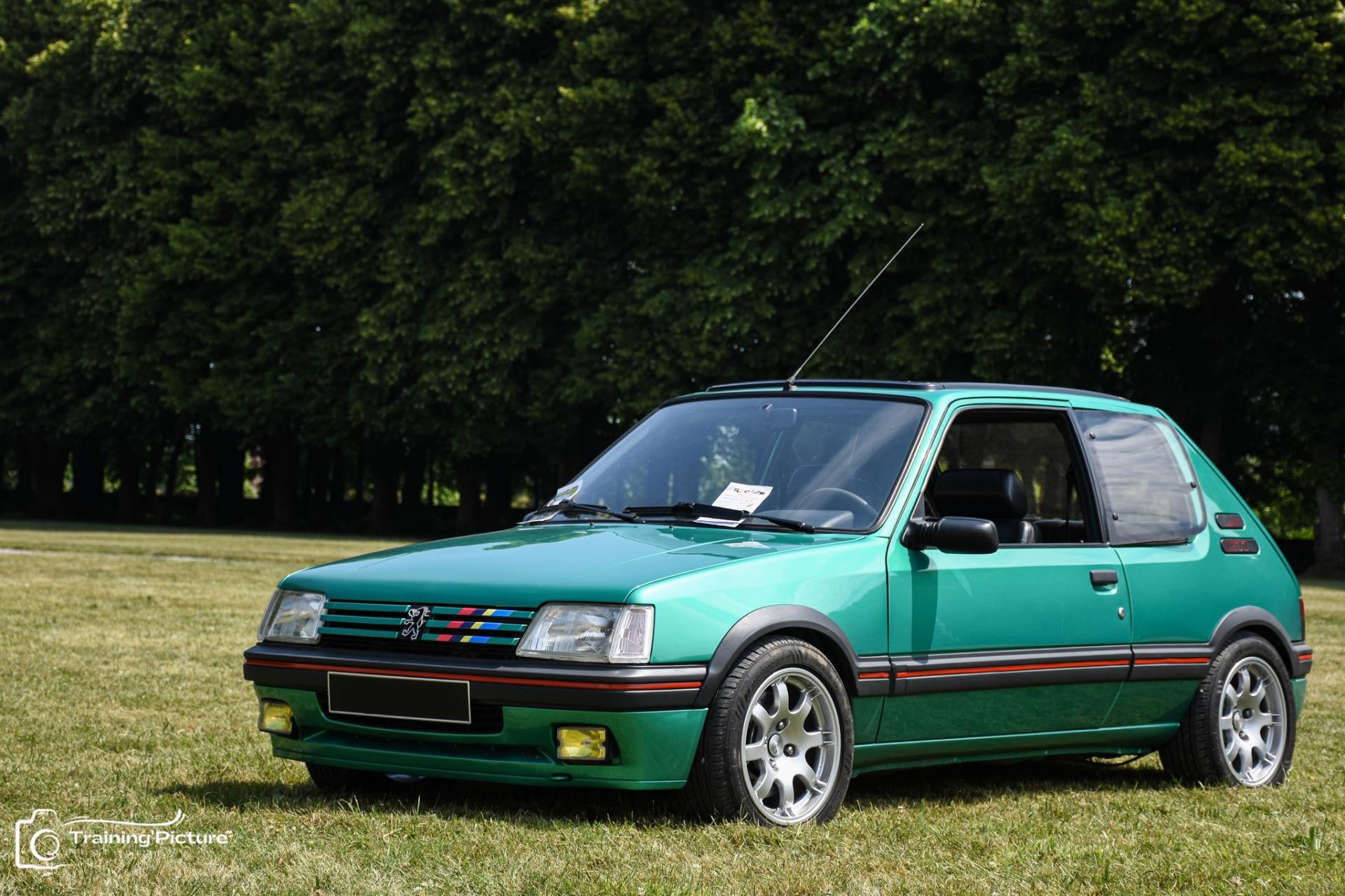 205 gti Griffe