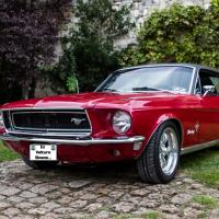 Mustang