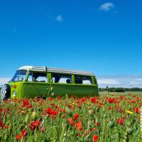 Combi T2b